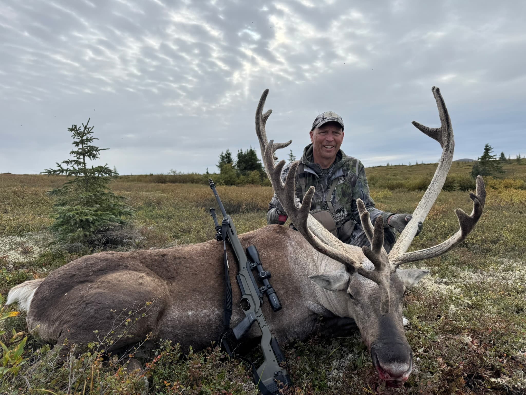 Caribou Hunts