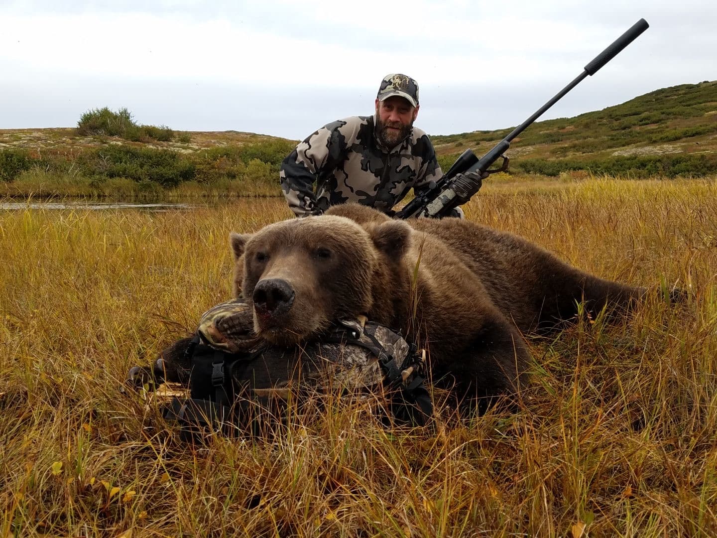 Grizzly & Brown Bear